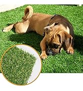 ルース　UNIVERSALE2/turf用　27.5 RageTurf dBTile 2.5 Inch x 24x24 Inches - Heavy Duty Gym Turf Tiles